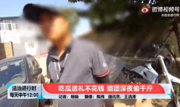 吃瓜爆料四千年视频,吃瓜爆料四千年，娱乐圈幕后真相大曝光